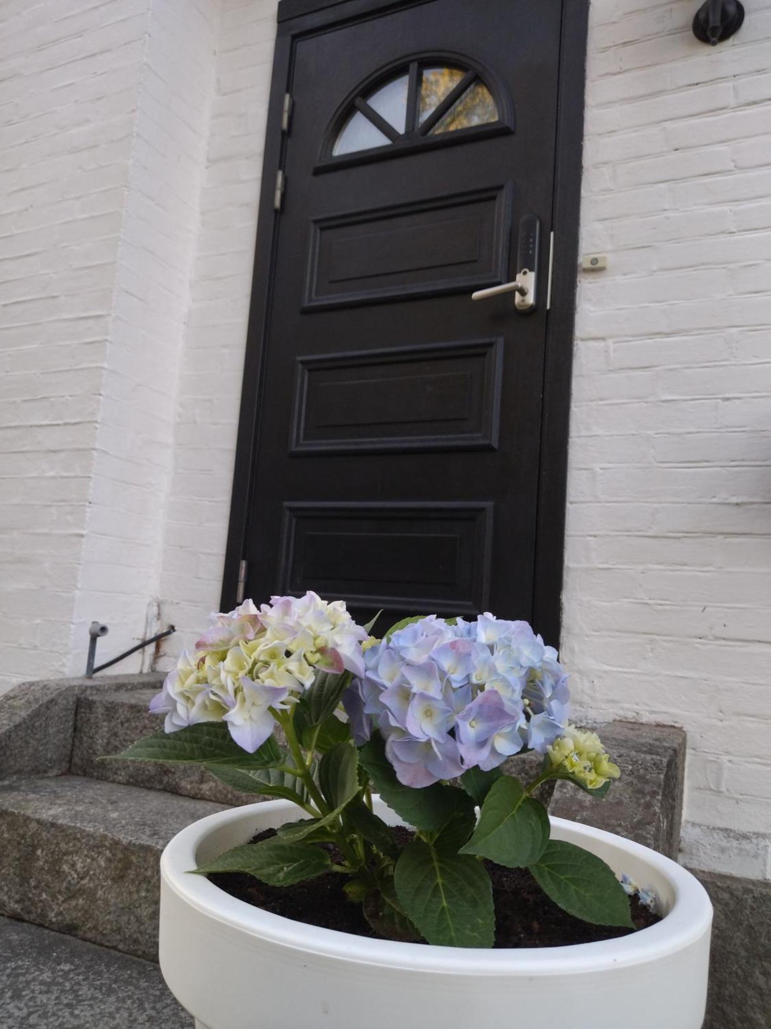 Bambina'S Guest House Kristianstad Exteriör bild